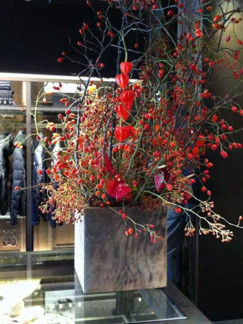 herbst_arrangenment_moncler