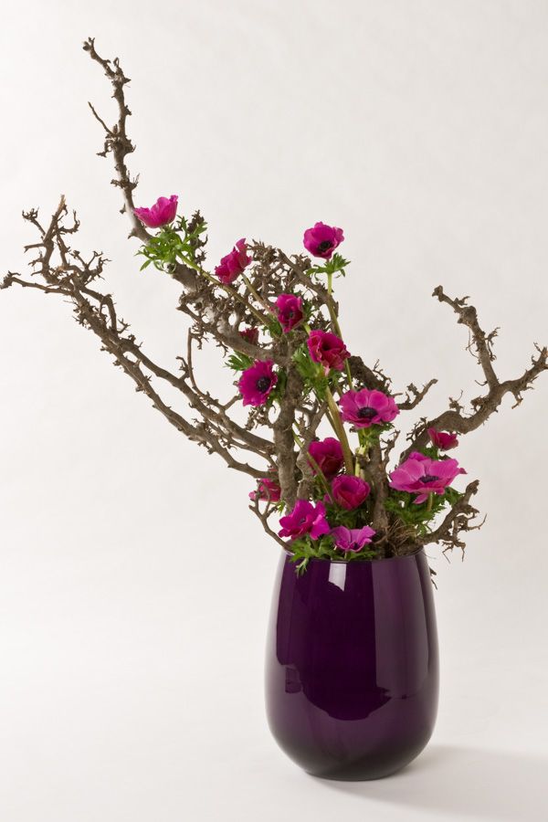 anemonen_bonsai