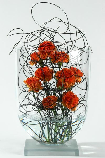 nelken_blumenabo