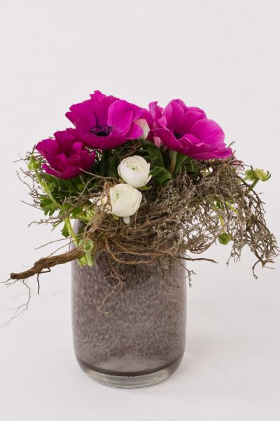 anemonen_ranunkeln